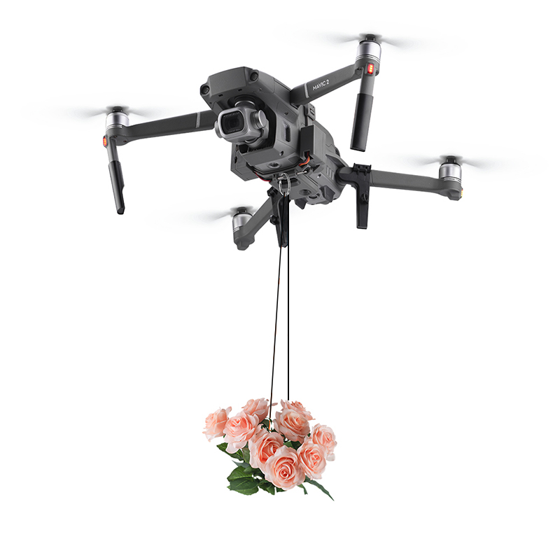 BRDRC AirDrop Sistema di Cadut - Drone Dji Rc 2 recensione e prezzo